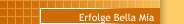 Urkunden-Berichte