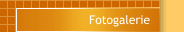 Fotogalerie 